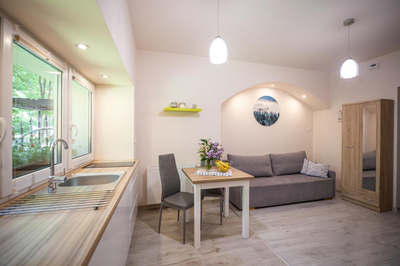 Apartament Przy Parku ドゥシュニキ・ズドルイ エクステリア 写真